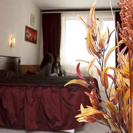 Aris Hotel 3*